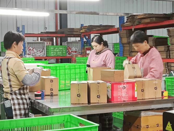 我县电商销售旺季实现新突破:农产品深加工引领新"食"尚 跨境电商布局